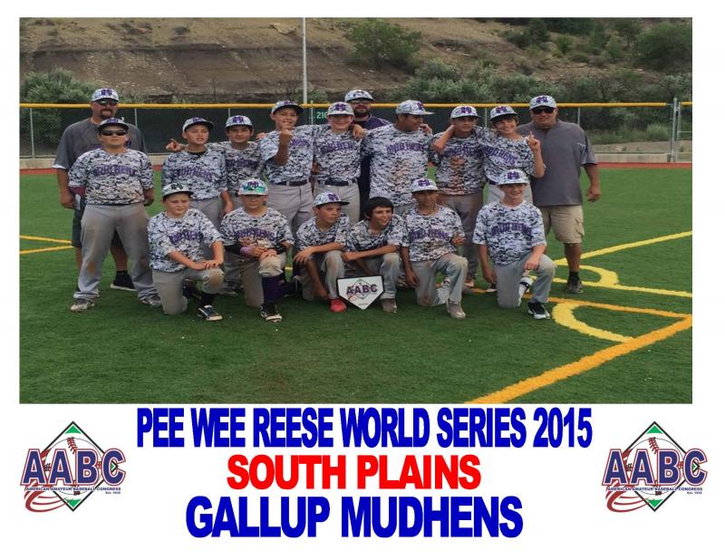 2017 AABC Pee Wee Reese World Series 12U Levittown, Toa Baja