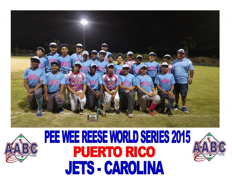 2017 AABC Pee Wee Reese World Series 12U Levittown, Toa Baja