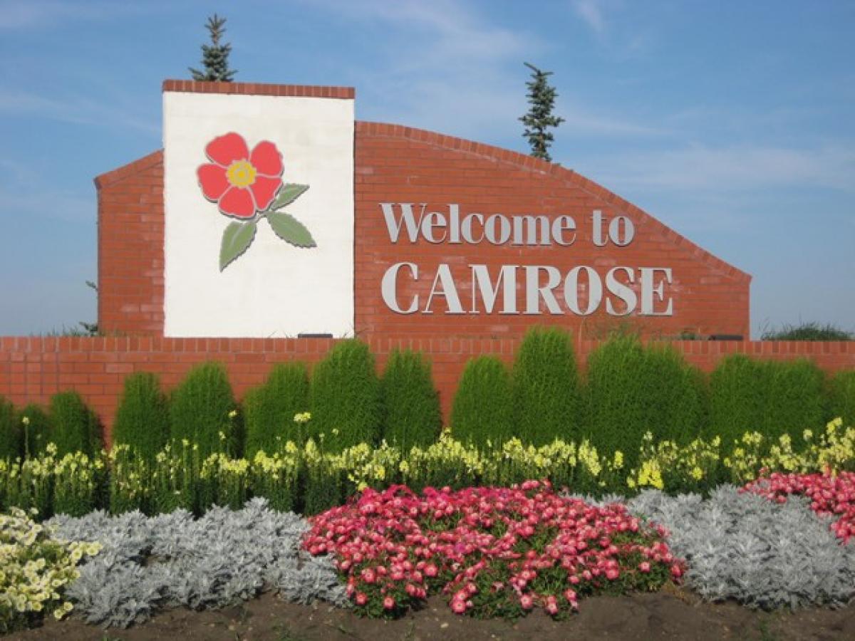 Camrose Looks To Expand Baseball Offerings