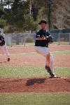 Stallions Move To Naba