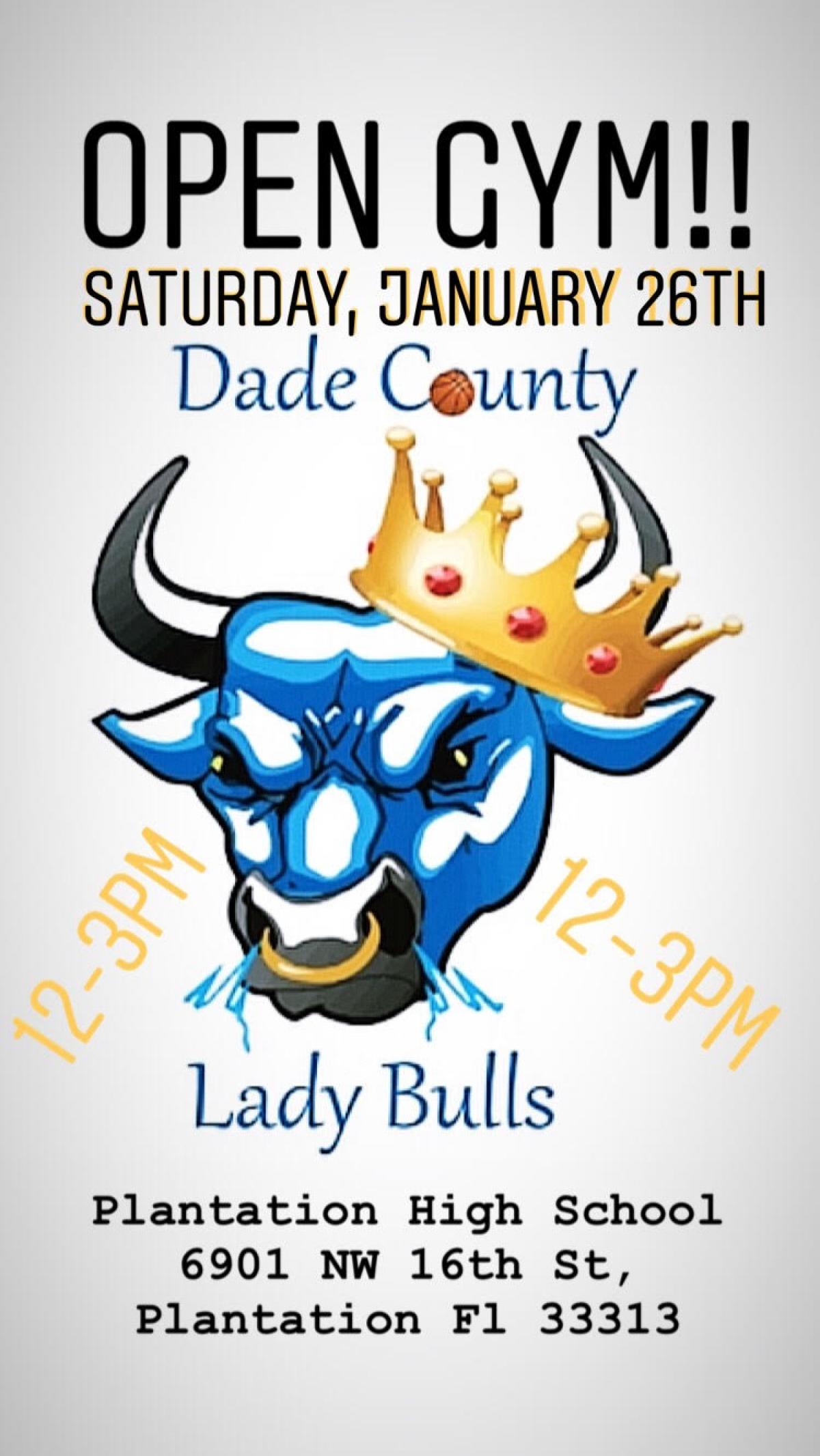 FREE OPEN GYM with the LADY BULLS 1/26/2019
